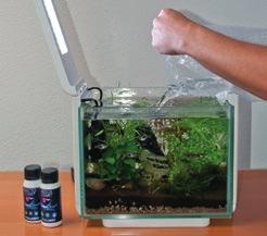 Geben Sie AquaStart und BactoStart dazu, damit das Wasser für Ihr Aquarium geeignet ist und die Biologie