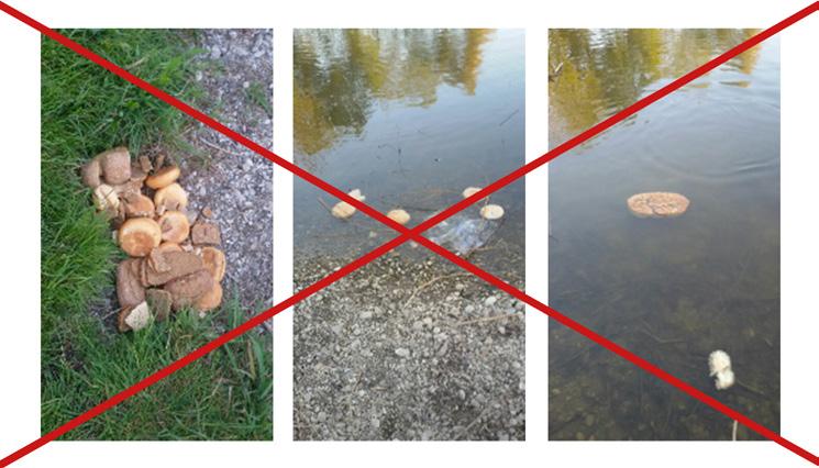 Tun & Lassen Mitführen von Hunden Hunde dürfen auf Kinderspielplätzen und abgegrenzten Sportflächen nicht mitgeführt und nicht in Pflanzbeete geführt werden.