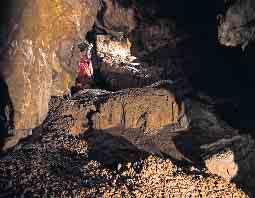 Bericht zur Titelseite Sensationeller Höhlenfund in Ründeroth Forscher des Arbeitskreises Kluterthöhle haben in der Gemeinde einen spektakulären Fund gemacht und ein mehrere Millionen Jahre altes