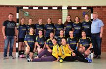 Handball Neues Personal, neue Liga, neue Trikots Alles neu bei den Handball-Damen des TSV Bienenbüttel?