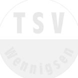 Sponsoren-Spielfeld für die Jugend - Abteilung des TSV WENNIGSEN Die TSV-Jugend bedankt sich bei ihren Sponsoren. Für nur 30,00 EURO pro Jahr kann jeder den TSV-Nachwuchs unterstützen.