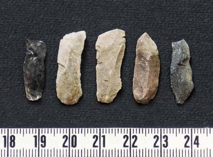 Sie gaben jeweils nach dem Umpflügen jungpaläolithische Steinartefakte sowie einzelne Schmuckstücke aus fossilen Schalen von Meeresweichtieren frei.