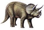 SEITE 14 Schulreporter die AG im Angebot der Grundschule Eine Dinosaurier-Geschichte Die Urzeiten Triops Tims Haustiere Es gab einmal einen Triceratops, der hieß Timon.