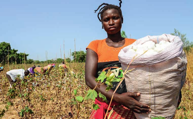 Afrika Harter Kampf ums weiße Gold Burkina Faso ist der größte Baumwollproduzent in Afrika.