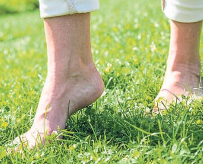 81 Prozent der Frauen sind laut Umfrage unzufrieden mit dem Zustand ihrer Füße. Bei den Männern sind es nur 69 Prozent. Folgerichtig steht Fußpflege eher bei der weiblichen Bevölkerung hoch im Kurs.