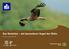 Der Rotmilan ein besonderer Vogel der Rhön. Ein Heft in Leichter Sprache