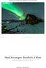 Nord Norwegen, Nordlicht & Wale