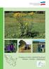 Landesamt für Landwirtschaft, Umwelt und ländliche Räume Schleswig-Holstein. Umgang mit dem Jakobs-Kreuzkraut Meiden Dulden Bekämpfen