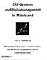 ERP-Systeme und Risikofnanagement im Mittelstand