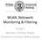 WLAN,Netzwerk Monitoring & Filtering. SS 2011 Betreuer: Dr.Oliver Dippel Teilnehmer:Constant Mabou Bopda