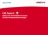CBC Consulting Christoph Böhmler. CAS Report: Analyse von vertrieblichen Prozessen Einzelne Kundenwertbetrachtungen