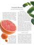 Vitamin-Riesen. Die Top 15 in Obst und Gemüse. Entzauberung. Natürliche Vitamine