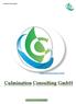 Culmination Consulting GmbH