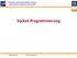 Computer and Communication Systems (Lehrstuhl für Technische Informatik) Socket-Programmierung