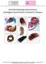 Sortimentskatalog Haarschmuck Catalogue d'assortiment ornaments cheveux