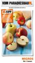 VoM Paradiesbaum. Die Verlockungen des Apfels. Erfahren Sie mehr über. wie vielseitig Sie die beliebten Früchte in der Küche einsetzen können.