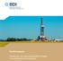 Positionspapier. Förderung von unkonventionellem Erdgas im Industrieland Deutschland