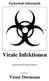 Facharbeit Informatik. Virale Infektionen. Eingereicht bei Herrn Durdel. Vorgelegt von. Victor Dorneanu