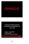 Leistungsvermögen moderner Geodatenserver am Beispiel von Oracle 10g