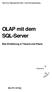 OLAP mit dem SQL-Server