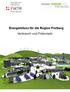 Energiebilanz für die Region Freiburg Verbrauch und Potenziale