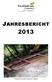 JAHRESBERICHT 2013. Hangsanierung mittels Holzkasten in Egliswil