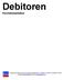 Debitoren Kurzdokumentation