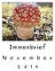 Immenbrief. N o v e m b e r 2 0 1 4