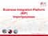 Business Integration Platform (BIP) Importprozesse. Beratung. Software. Lösungen.
