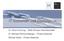 IT-Sicherheit und Compliance. Dr. Oliver Hornung SKW Schwarz Rechtsanwälte Dr. Michael Kollmannsberger Protea Networks Michael Seele Protea Networks