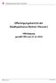Offenlegungsbericht der Stadtsparkasse Borken (Hessen)