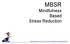 MBSR Mindfulness Based Stress Reduction. www.frankzechner.at, Praxis für Supervision, Achtsamkeit und interkulturellen Dialog