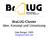 BraLUG-Cluster Idee, Konzept und Umsetzung. Uwe Berger; 2005 <bergeruw@gmx.net>