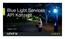 Blue Light Services API Konzept. Oktober, 2015