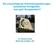 Die umschriebenen Entwicklungsstörungen schulischer Fertigkeiten - was geht therapeutisch? Dr. Hermann Kühne Nieder-Olm bei Mainz, 2011