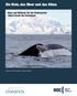 Die Wale, das Meer und das Klima Ideen und Aktionen für den Kindergarten»Mein Freund der Buckelwal«