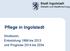 Stadt Ingolstadt Statistik und Stadtforschung. Pflege in Ingolstadt. Strukturen, Entwicklung 1999 bis 2013 und Prognose 2014 bis 2034