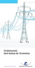 Strahlenschutz beim Ausbau der Stromnetze. Verantwortung für Mensch und Umwelt