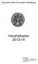 Ruprecht-Karls-Universität Heidelberg. Haushaltsplan 2013/14. Abteilung: 4.1 Haushalts-, Wirtschafts- und Beschaffungsangelegenheiten Ganglbauer