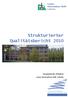Strukturierter Qualitätsbericht 2010