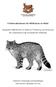 Fördermaßnahmen für Wildkatzen im Wald. Geeignete Maßnahmen im Wald zur Förderung und Sicherung der Lebensräume der Europäischen Wildkatze