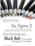 Six Sigma 2 certified by Steinbeis University