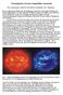 Chromosphären, Koronen, Magnetfelder, Sternwinde