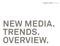 twenty One Brands New Media. Overview.