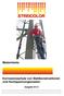 Mastenlacke. Korrosionsschutz von Stahlkonstruktionen und Hochspannungsmasten. Ausgabe 05/13