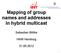 Mapping of group names and addresses in hybrid multicast
