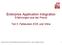 Enterprise Application Integration Erfahrungen aus der Praxis