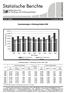 Statistische Berichte Statistisches Amt für Hamburg und Schleswig-Holstein