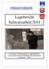 Lagebericht Schwarzarbeit 2014