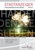 Amtliches Mitteilungsblatt der Stadt Haldensleben 23.05.2014 Ein Feuerwerk an Bildern: Krieg und Frieden in Hundisburg